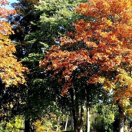 Fuchsrevier * Erkerode