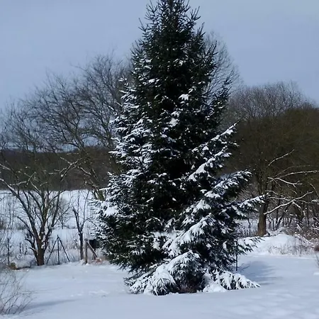 דירה Fuchsrevier *